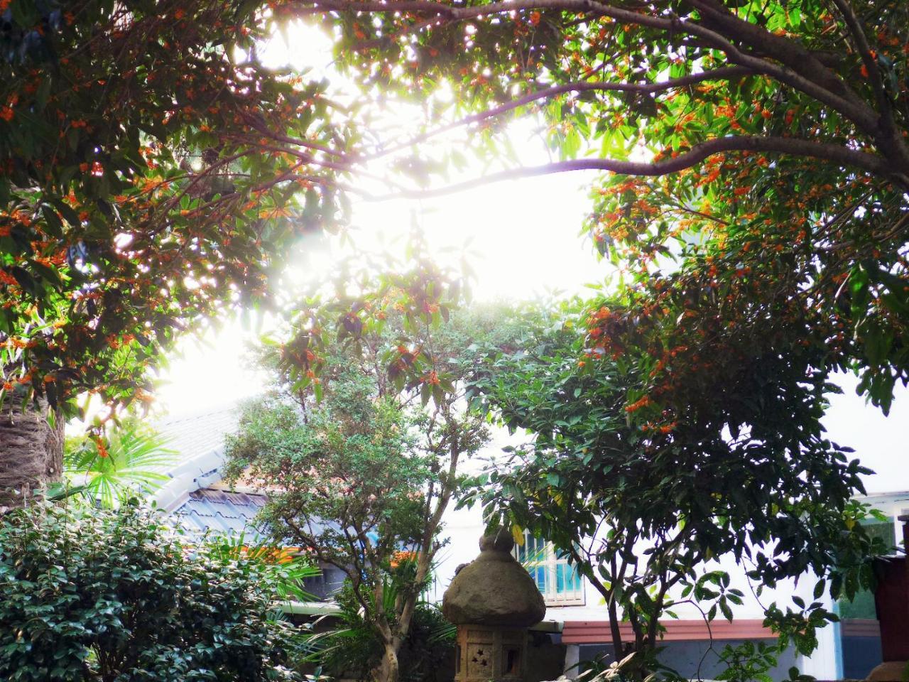 Picasso Guesthouse Mokpo Exteriér fotografie