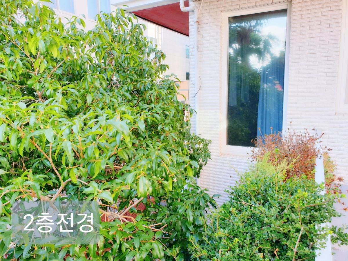 Picasso Guesthouse Mokpo Exteriér fotografie